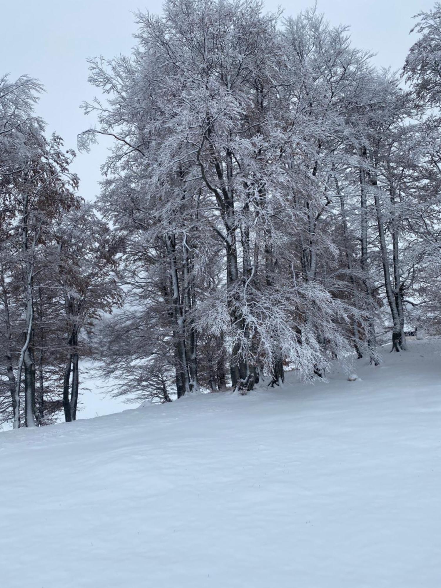 Vikendica Aleksandra 자블야크 외부 사진